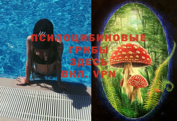 а пвп мука Аркадак
