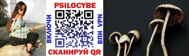 hydra рабочий сайт  Дюртюли  Галлюциногенные грибы Psilocybine cubensis 
